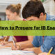 How to Prepare for IB Exams with Expert Online Tutors
